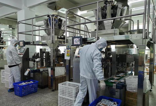 创二代携手，从灯箱布到休闲食品帝国的转型之路